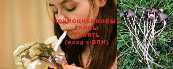 меф Михайловск