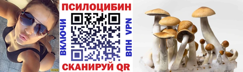 Псилоцибиновые грибы Psilocybine cubensis  мега зеркало  сайты даркнета какой сайт  Саранск 